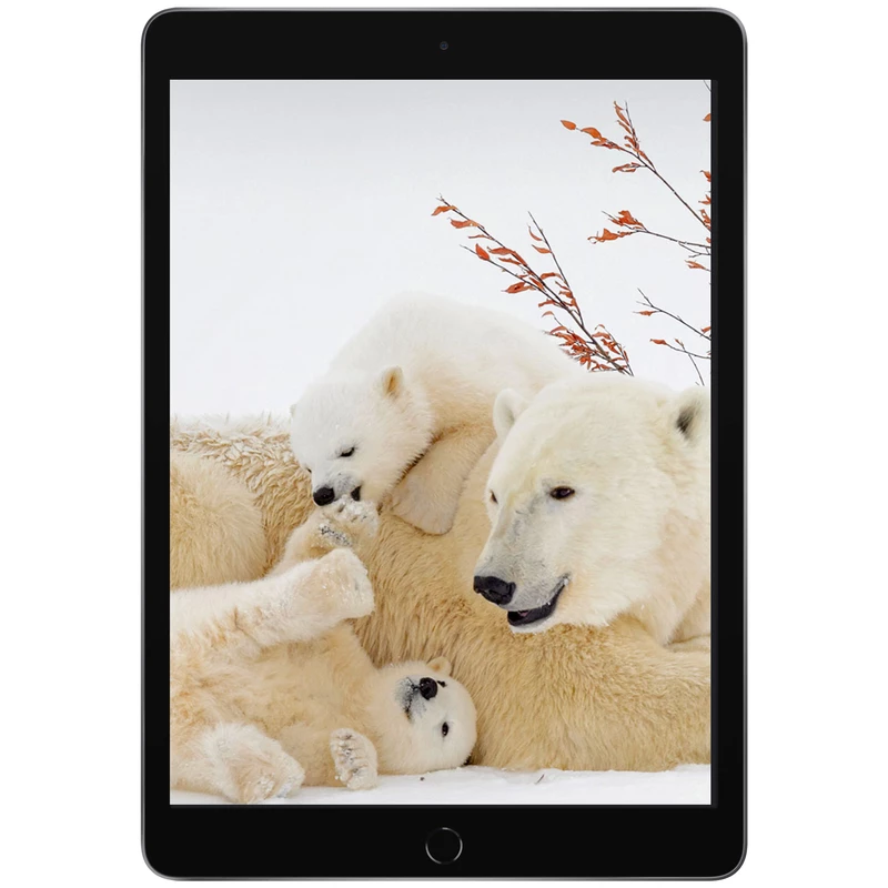 Apple iPad 9th Generation 2021 10.2