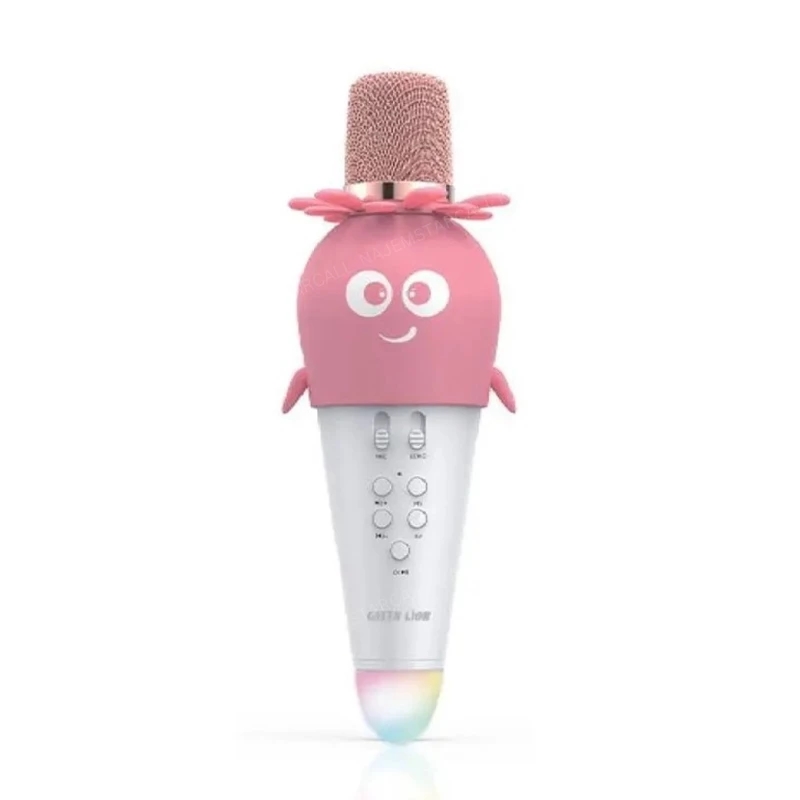 Green Lion Kids Karaoke Wireless Microphone