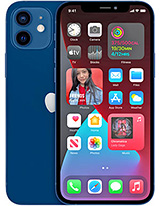 APPLE iPhone 12 Pro