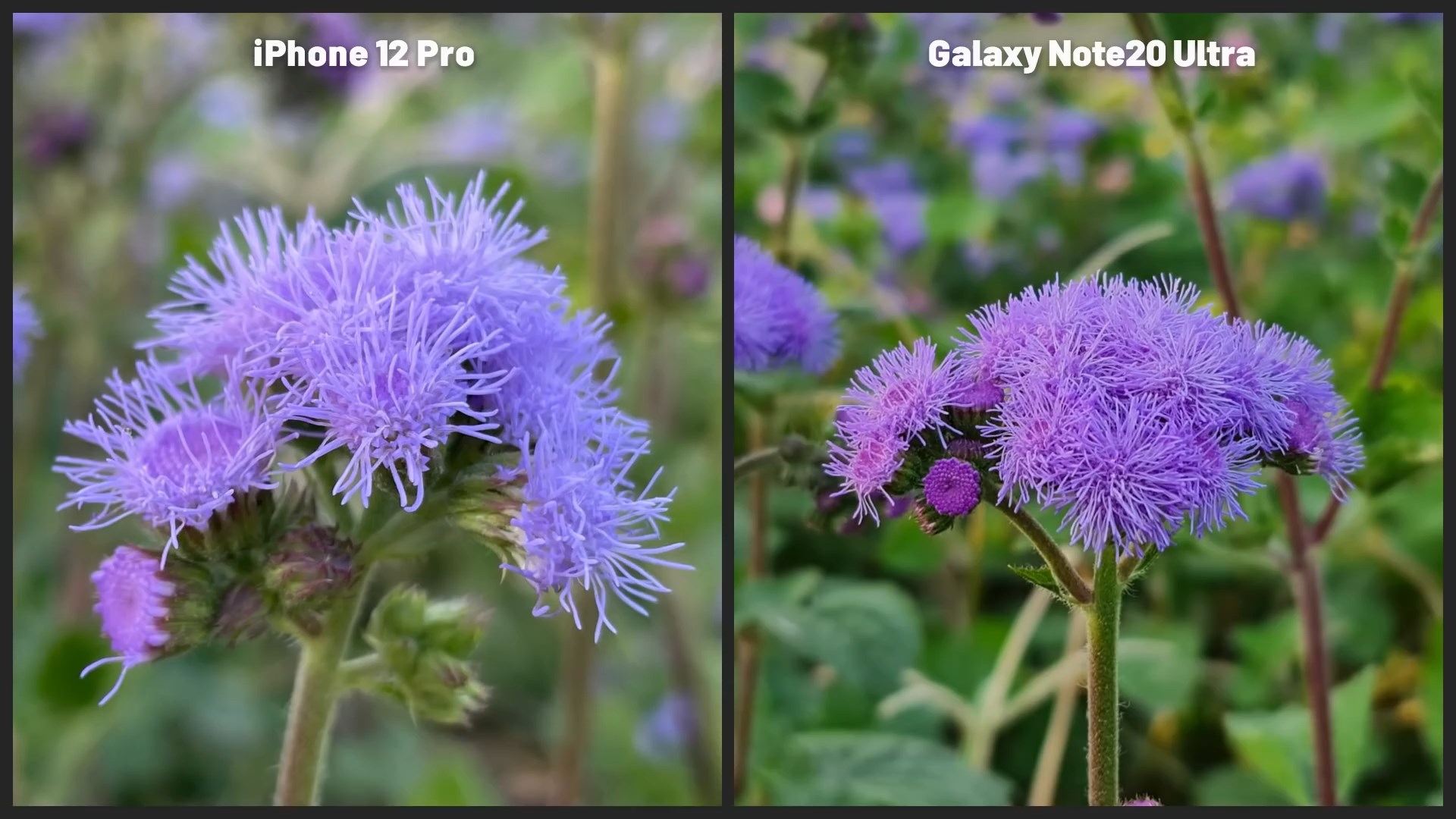 مقایسه دوربین iPhone 12 Pro Vs Note 20 Ultra
